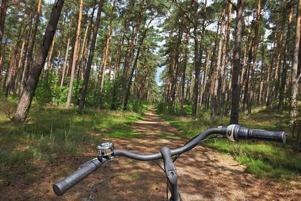Fahrradfahren im Wald auf Usedom beim Ferienzentrum Trassenmoor