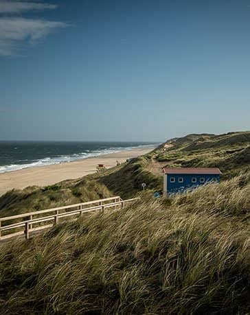 Dünenlandschaft Wenningstedt Sylt