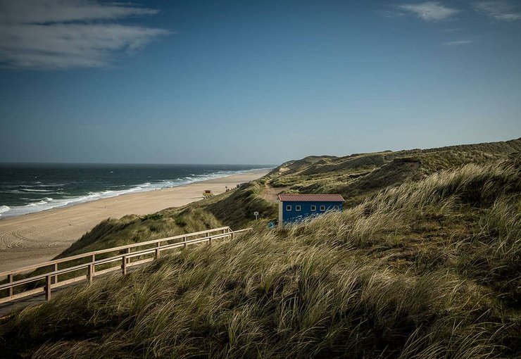 Dünenlandschaft Wenningstedt Sylt