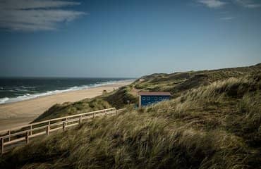 Dünenlandschaft Wenningstedt Sylt