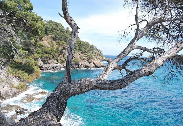 Ferienzentrum Les Tourelles Sainte Maxime an der Cote d Azur in Frankreich Küstenlandschaft