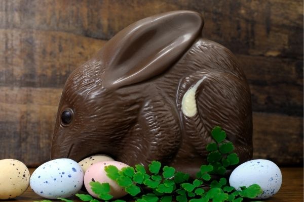 Der Oster Bilby in Australien – GEW Ferien 